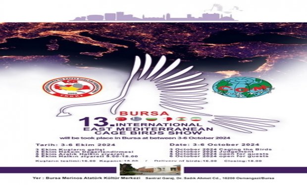 Enternasyonal Yarışması 2024 Bursa Kayıt Başlangıcı