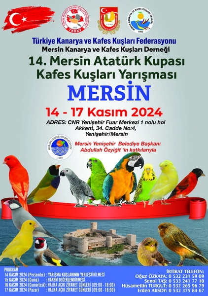 Atatürk Kupası 2024 Mersin